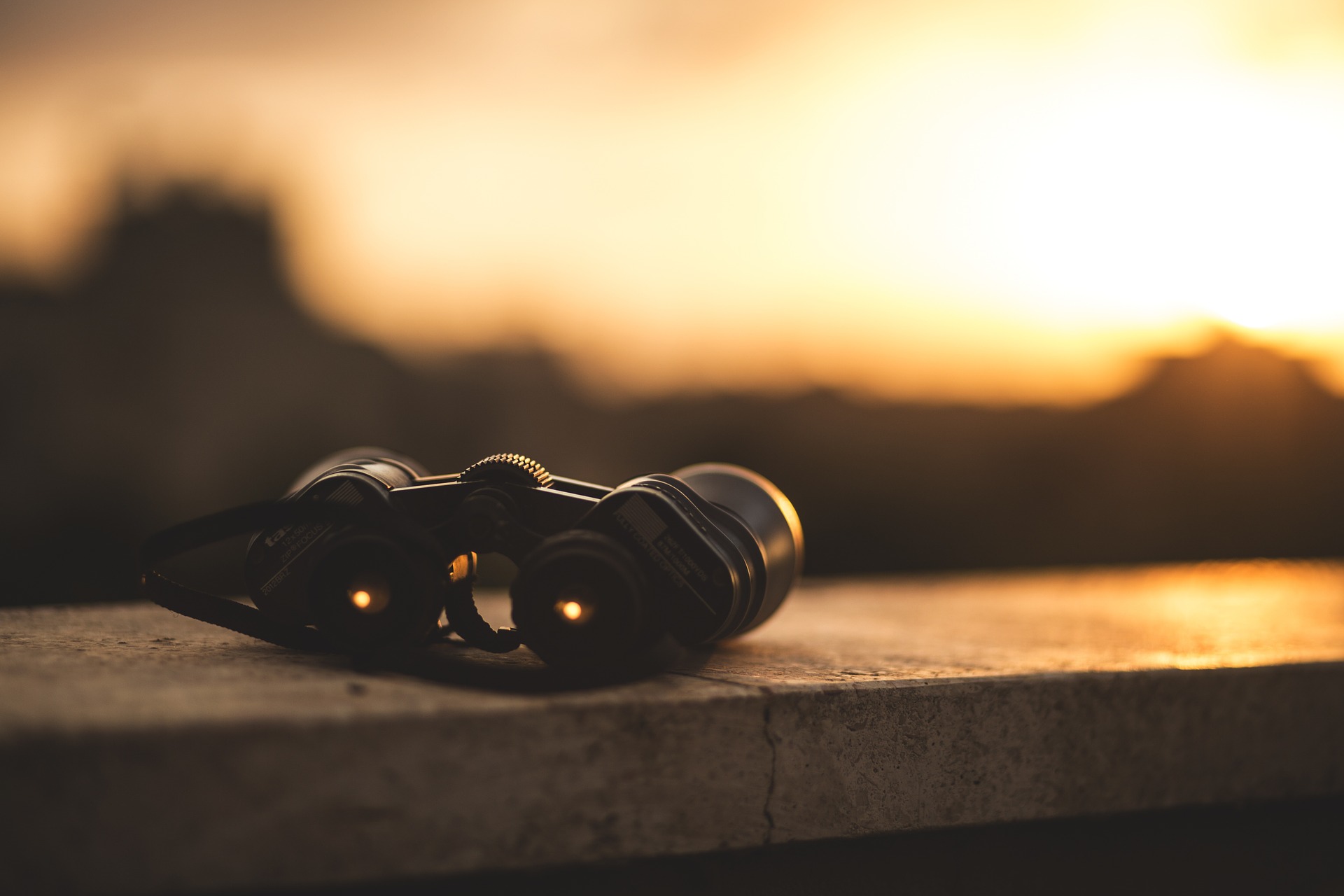 Binocular